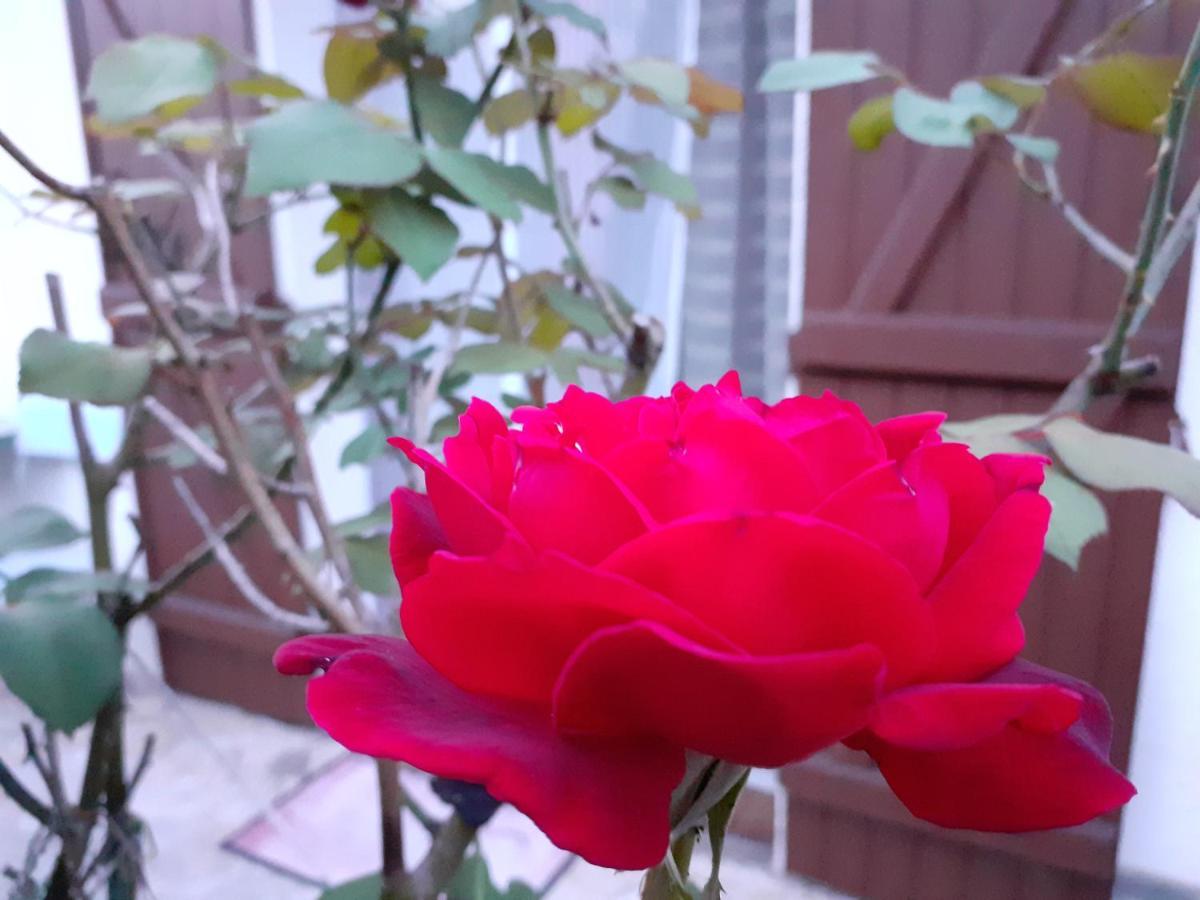 Chambre D'Hote Chez Titi 오덴쥐 외부 사진